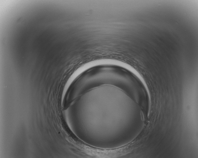 X0000081470039200701191817