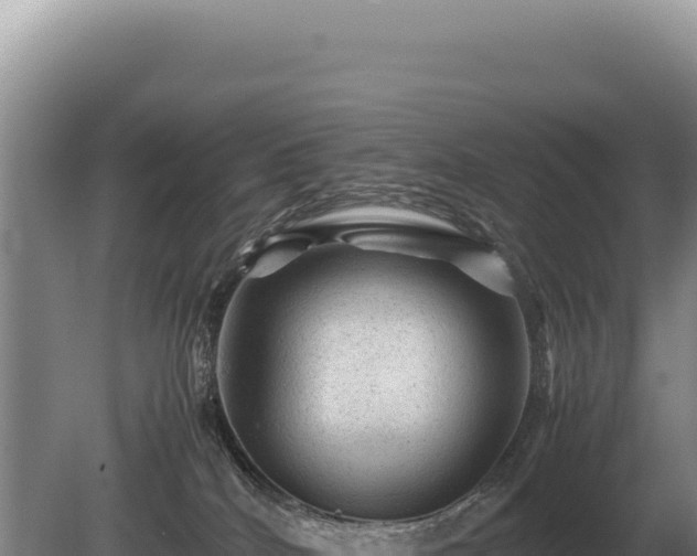 X0000081470040200701191817