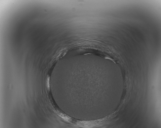 X0000081470041200701191817