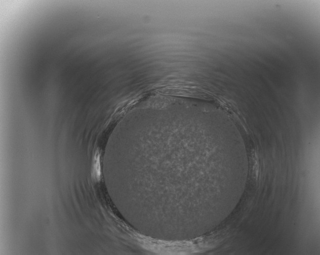 X0000081470042200701191817