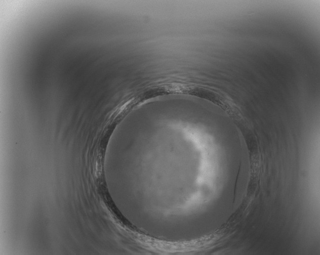 X0000081470043200701191817