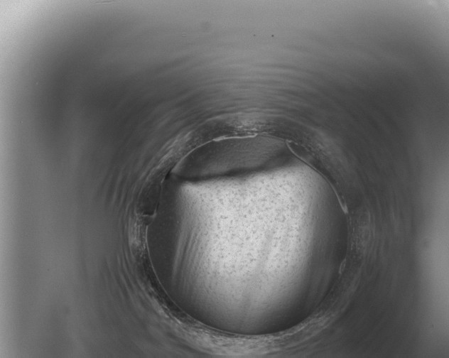 X0000081470044200701191817