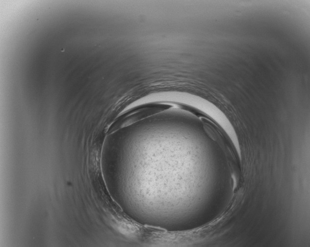 X0000081470045200701191817