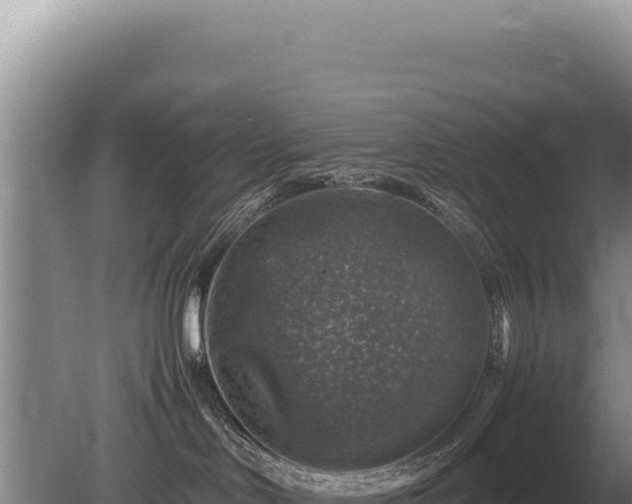 X0000081470046200701191817