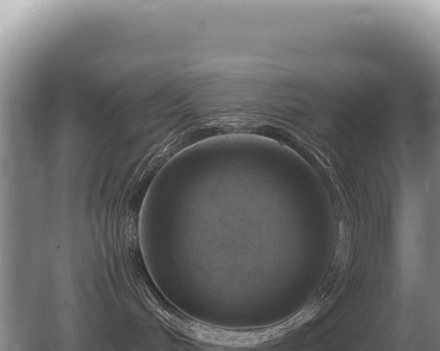 X0000081470048200701191817