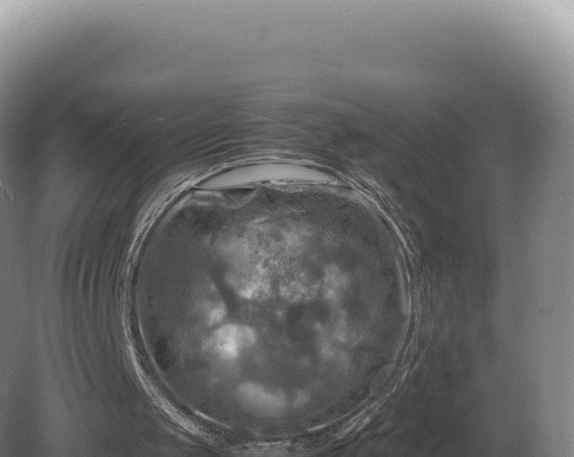 X0000081470049200701191816