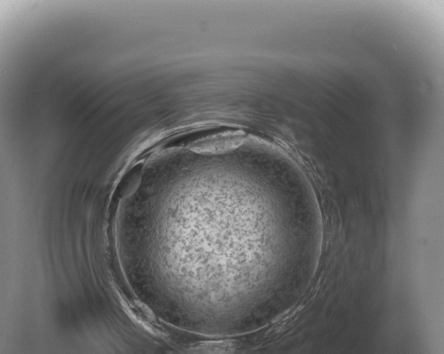 X0000081470050200701191816