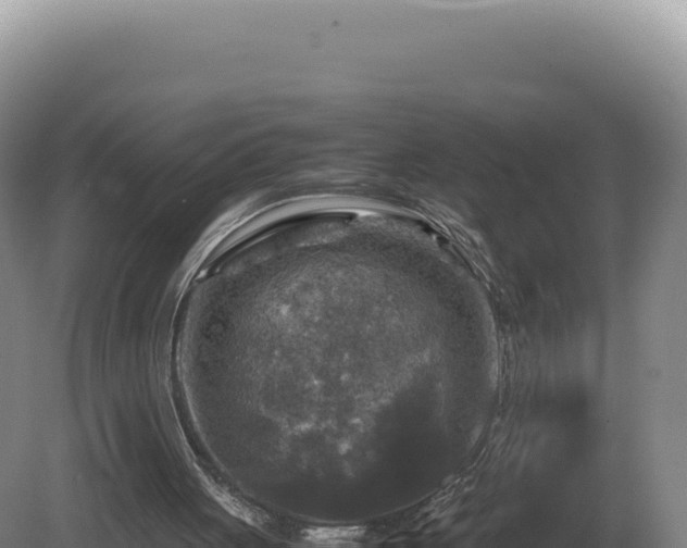 X0000081470051200701191816