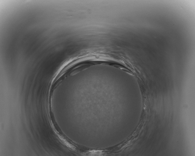 X0000081470052200701191816