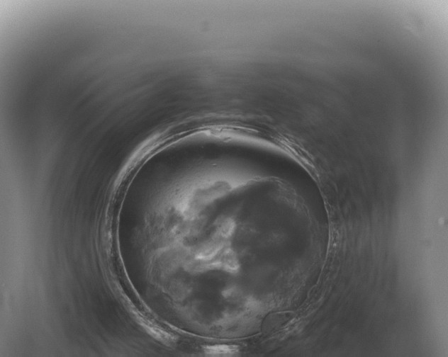 X0000081470053200701191816