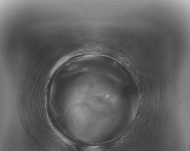 X0000081470054200701191816