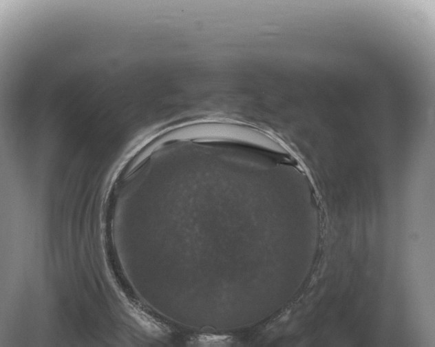 X0000081470055200701191816