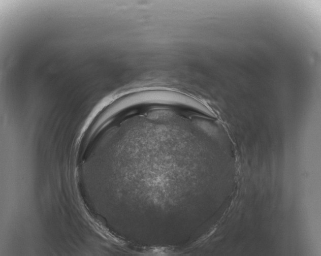 X0000081470056200701191816