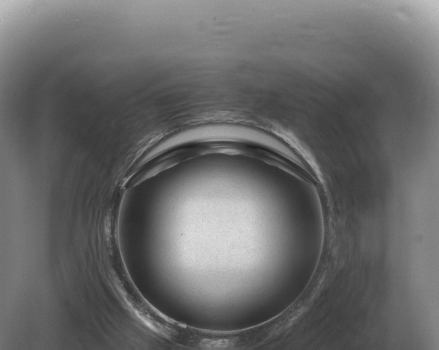 X0000081470057200701191816