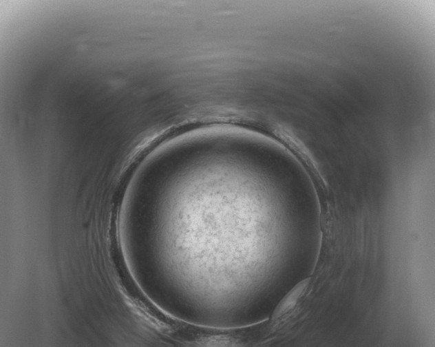 X0000081470058200701191816