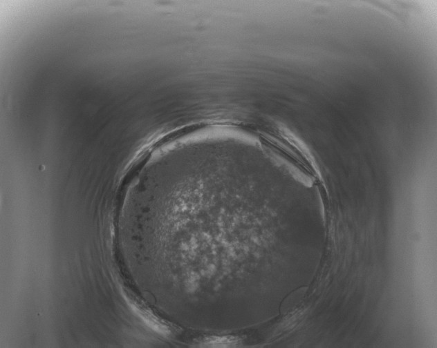 X0000081470059200701191816