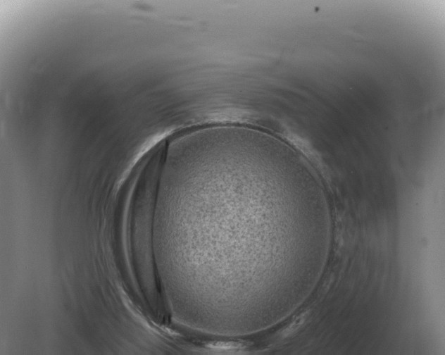 X0000081470060200701191816