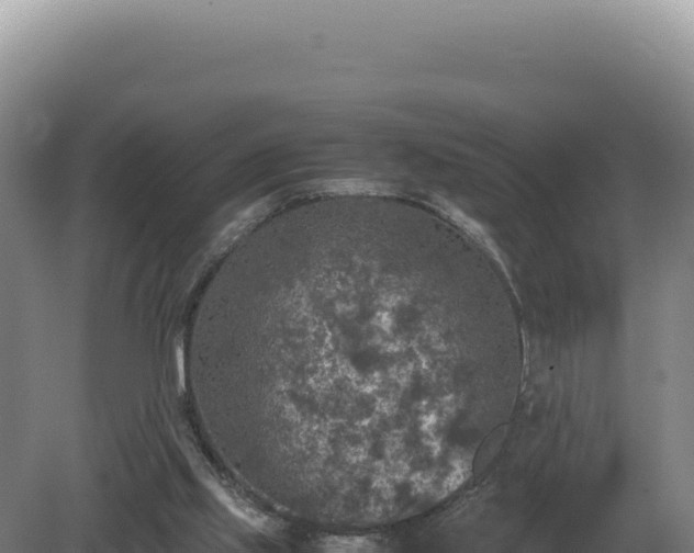 X0000081470061200701191816