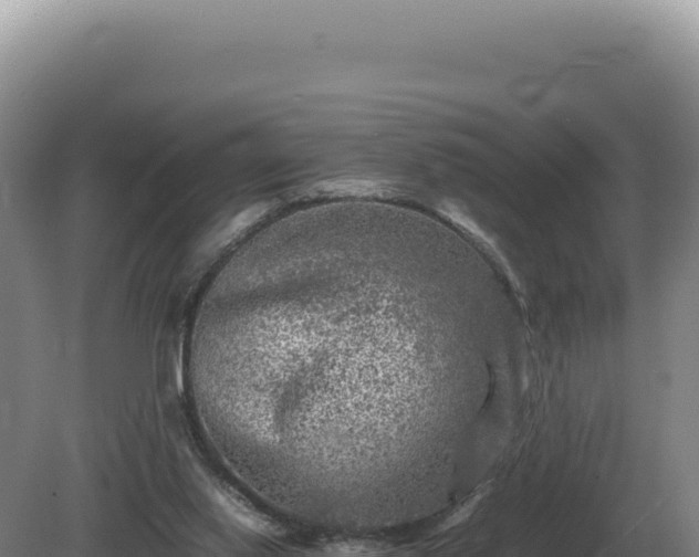 X0000081470062200701191816