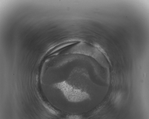 X0000081470063200701191816