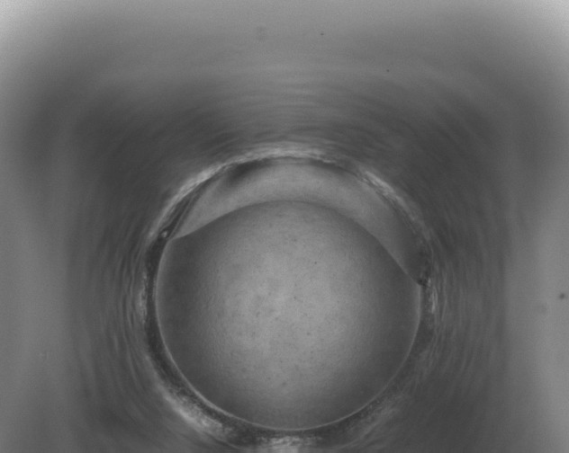 X0000081470064200701191816