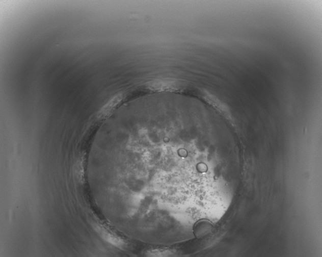 X0000081470065200701191816