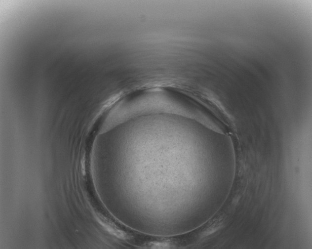 X0000081470068200701191816