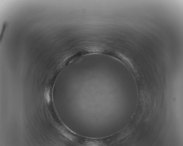 X0000081470069200701191816