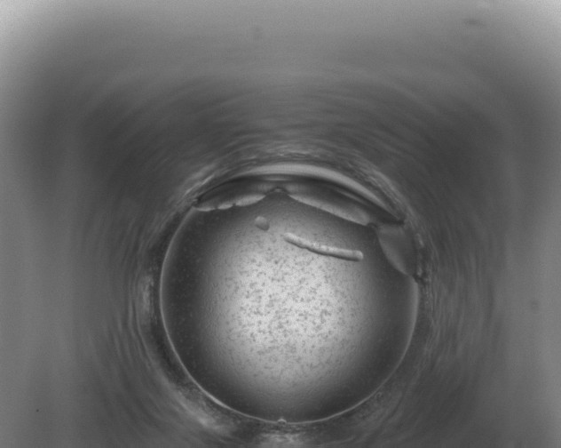 X0000081470071200701191817