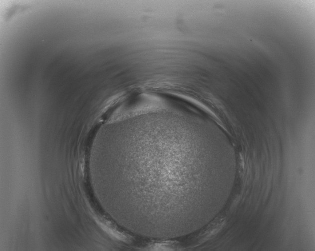 X0000081470072200701191817