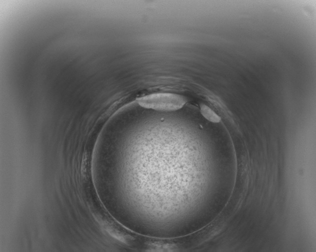 X0000081470073200701191817