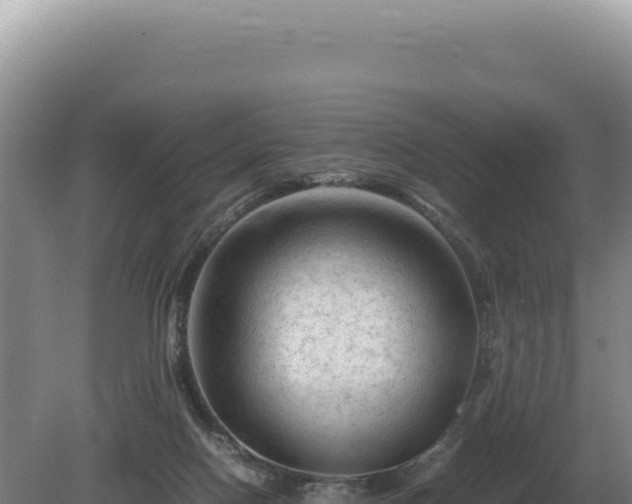 X0000081470074200701191817