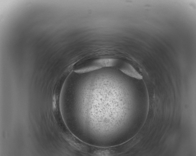 X0000081470075200701191817