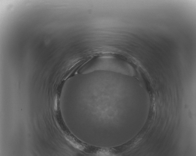 X0000081470076200701191817