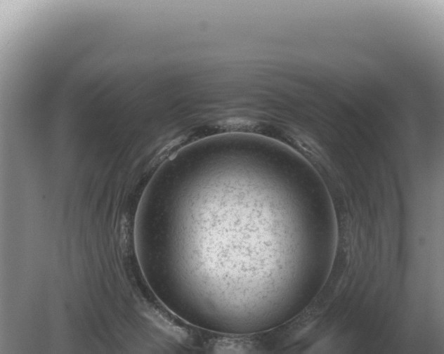 X0000081470077200701191817