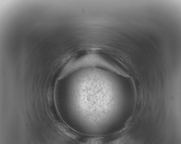 X0000081470078200701191817