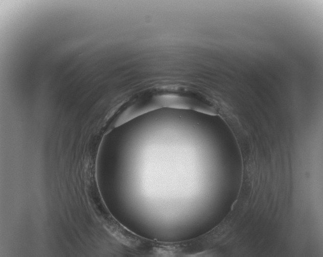 X0000081470079200701191817