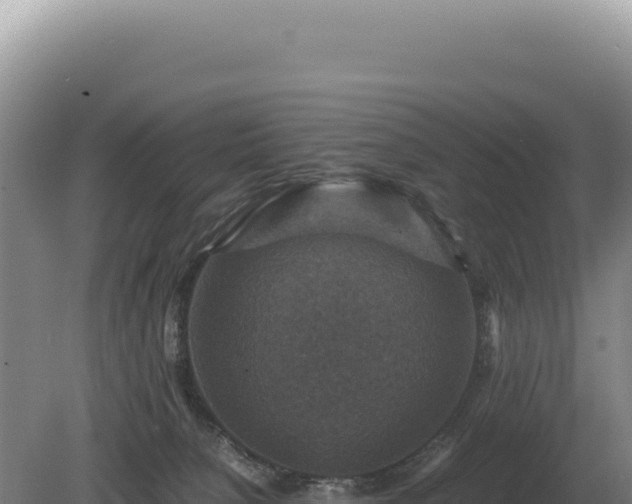 X0000081470080200701191817