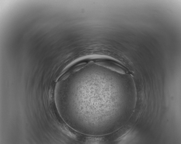 X0000081470081200701191817