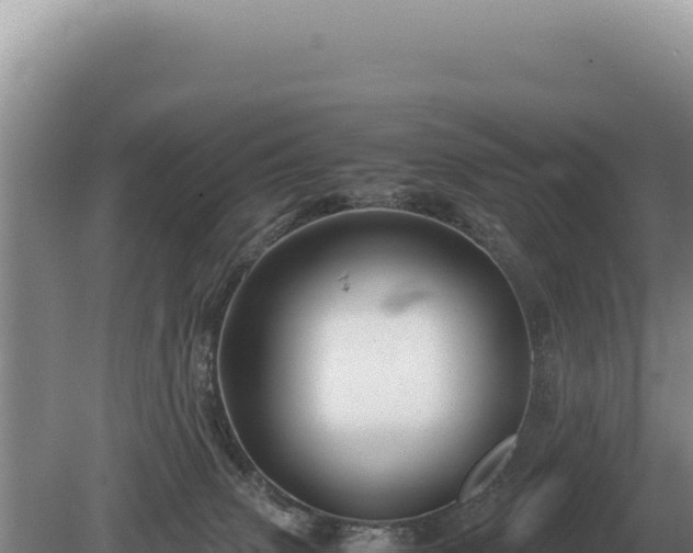 X0000081470083200701191817