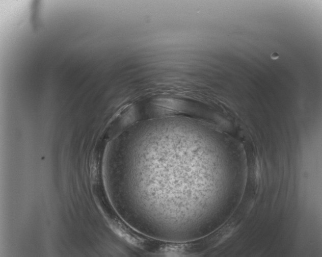 X0000081470084200701191817