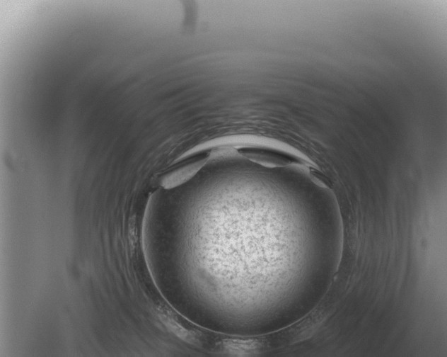 X0000081470085200701191817