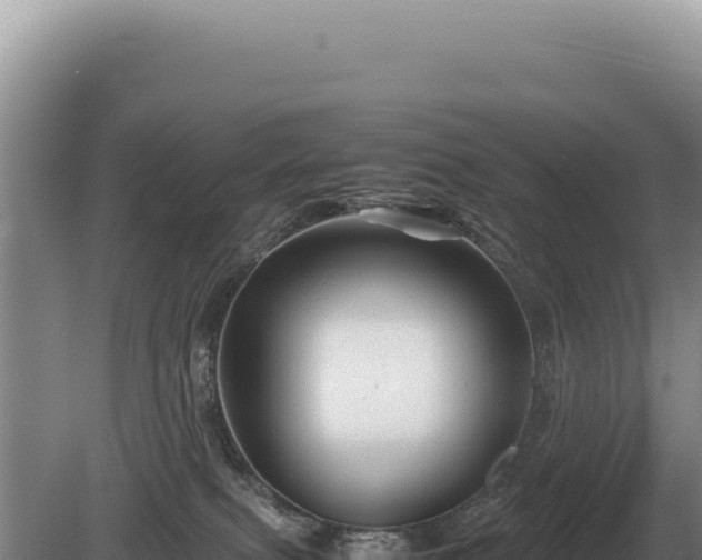 X0000081470087200701191817