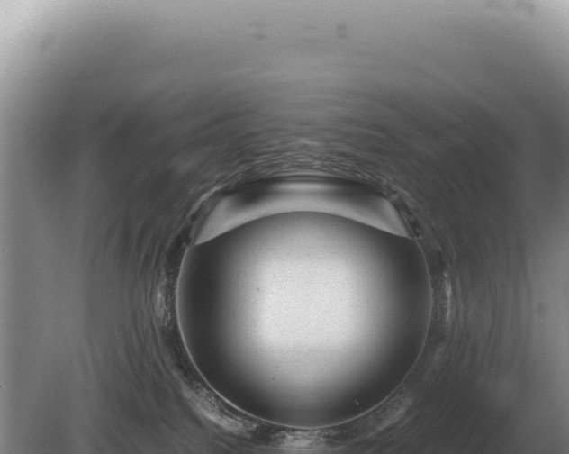 X0000081470088200701191817