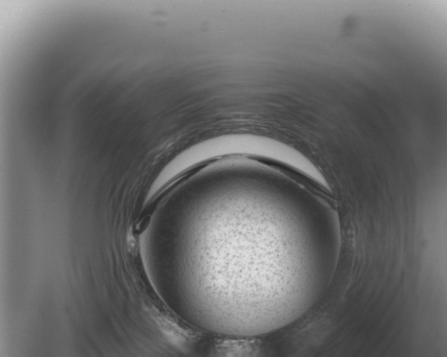 X0000081470089200701191817