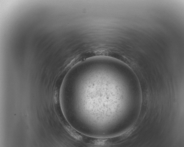 X0000081470090200701191817