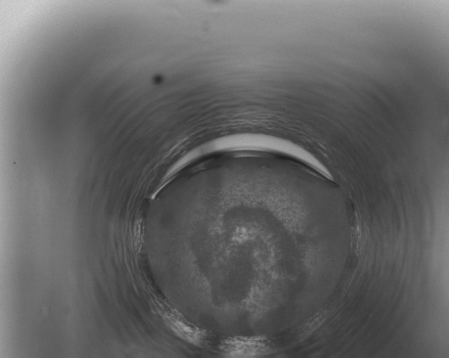 X0000081470093200701191817