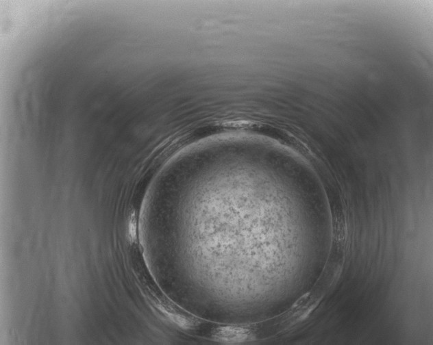 X0000081470095200701191817