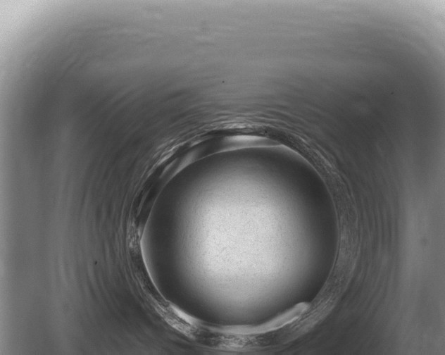 X0000081470096200701191817