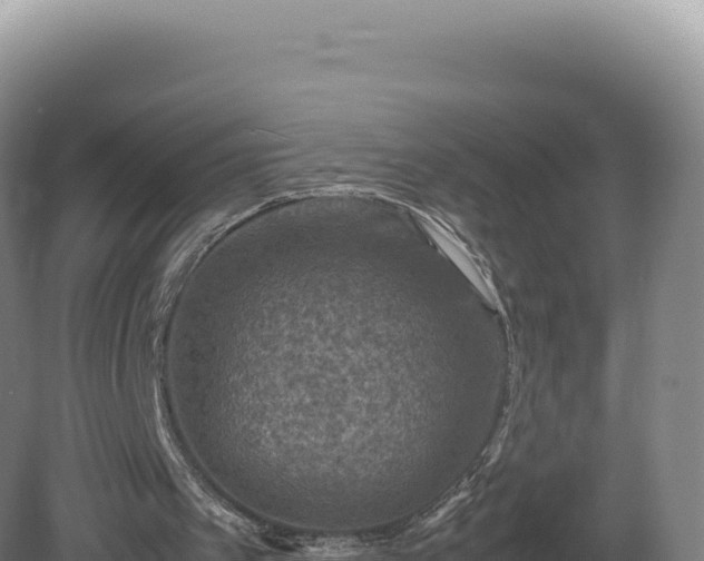 X0000081470097200701191816